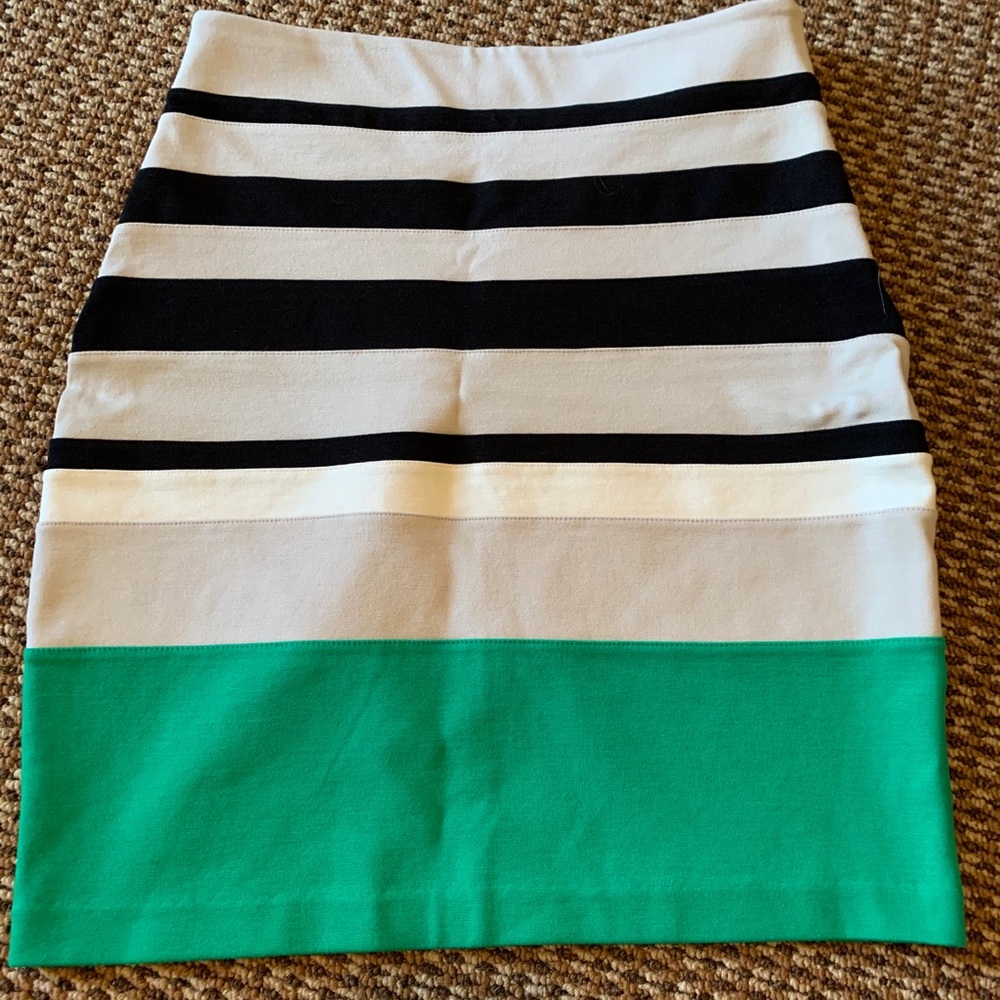 Express skirt